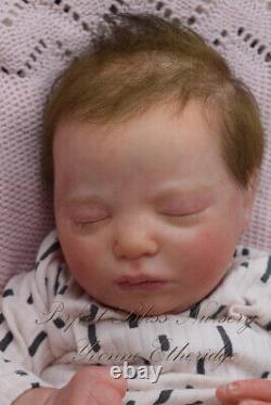 Pbn Yvonne Etheridge Reborn Baby Girl Doll Realborn Claudia Asleep