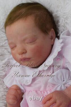 Pbn Yvonne Etheridge Reborn Baby Girl Doll Realborn Claudia Asleep