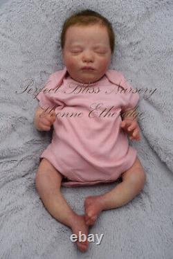 Pbn Yvonne Etheridge Reborn Baby Girl Doll Realborn Claudia Asleep