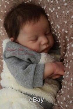 Pbn Yvonne Etheridge Reborn Doll Baby Boy Levi By Bonnie Brown 0219