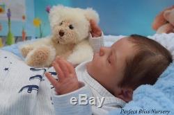 Pbn Yvonne Etheridge Reborn Doll Baby Boy Xander By Cassie Brace 0118