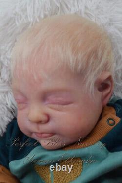 Pbn Yvonne Etheridge Reborn Doll Boy Sculpt Giorgio By Francesca Figa 0123