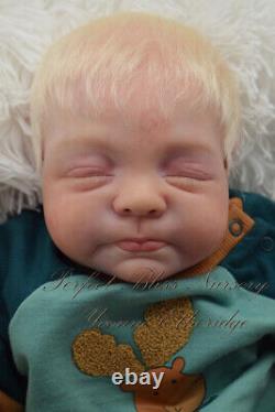 Pbn Yvonne Etheridge Reborn Doll Boy Sculpt Giorgio By Francesca Figa 0123