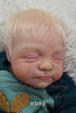 Pbn Yvonne Etheridge Reborn Doll Boy Sculpt Giorgio By Francesca Figa 0123