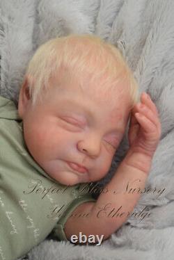 Pbn Yvonne Etheridge Reborn Doll Boy Sculpt Giorgio By Francesca Figa 0123