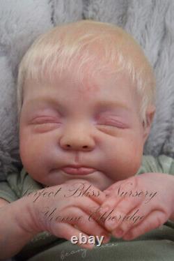 Pbn Yvonne Etheridge Reborn Doll Boy Sculpt Giorgio By Francesca Figa 0123