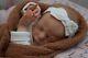 Pbn Yvonne Etheridge Reborn Doll Girl Sculpt Luise By Karola Wegerich 0219