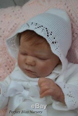 Pbn Yvonne Etheridge Reborn Doll Realborn Lavender By Bountyful Baby 0218