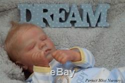 Pbn Yvonne Etheridge Reborn Doll Realborn Quinn Asleep By Bountiful Baby 0118