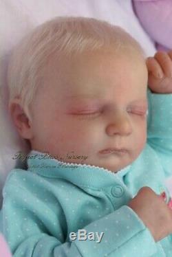 Pbn Yvonne Etheridge Reborn Doll Realborn Sculpt Jennie By Bountiful Baby 0219
