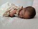 Pre Owned, Rare, Ethnic Reborn Doll Everleigh By Laura Lee Eagles