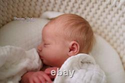 Precious Wonders Reborn Baby girl Realborn PROTOTYPE Sage by Bountiful Baby