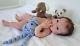Prototype Harley Full Bodied Silicone Baby, Reborn Doll Reborn Baby