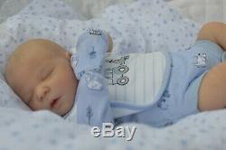 REBORN lifelike baby boy doll Darren Asleep Sleeping Realborn Bountiful Baby