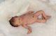 Reduced Early Bird Full Bodied Prem Baby Silicone Not Reborn Doll