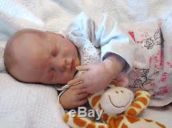 Rare Reborn Baby Doll Natalie Scholl Jayden With Artist Ana Healey Turner Limbs