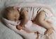 Realborn Bountiful Baby Jennie Reborn Doll 5 1b 1oz 19 By Perrywinkles Newborn