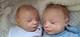 Realborn Callie Asleep Twins By Bountiful Baby