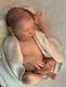 Realistic Newborn Sleeping Reborn Baby Doll Laura Sculpt By Bonnie Brown & Coa