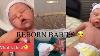 Reborn Babies 5 Minute Long Compilation Of Reborn Babies Tiktok Compilation