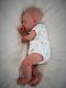 Reborn Baby Boy Bellami By Samantha L Gregory Limited Edition Lifelike Doll Coa