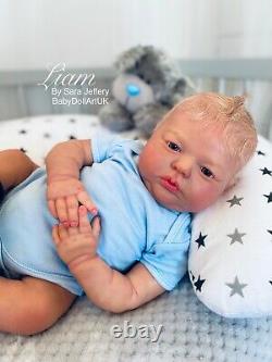 Reborn Baby Boy Doll Liam RealBorn COA by UK Artist