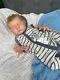 Reborn Baby Boy Doll Ravy Ltd 393/1200 By Uk Artist Sara Palmer