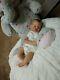 Reborn Baby Boy Dorin By Alicia Toner Limited Edition Realistic Newborn Doll