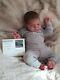 Reborn Baby Boy Sold Out Limited Ed Knox By Laura Lee Eagles Lle Aa Ethnic Doll