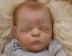 Reborn Baby Boy Doll From Trinibabies From Xander By Cassie Brace