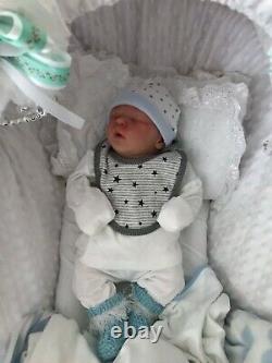 Reborn Baby Darren By Bountiful baby with posing seat