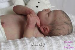 Reborn Baby Doll. Brand New Genevieve by Cassie Brace, stunning baby, sold out