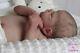 Reborn Baby Doll. Brand New Genevieve By Cassie Brace, Stunning Baby, Sold Out