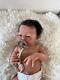Reborn Baby Doll Esme By Laura Lee Eagles. Sold Out Limited Edition (sole)