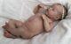 Reborn Baby Doll Indie Laura Lee Eagles Ltd Ed