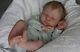 Reborn Baby Doll Leo Newborn By Sabine Altenkirch Le With Coa, Realistic Doll