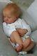 Reborn Baby Doll Levi (from The Kit Levi Sculpted By Bonnie Brown)