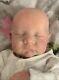 Reborn Baby Doll, Levi By Bonnie Brown With Coa