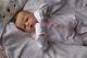 Reborn Baby Doll Lilliana By Emily Jameson Ltd Ed 227/450 Prem