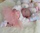 Reborn Baby Doll Mouse Asleep By Sylvia Manning Stunning Newborn, Ltd Edition