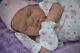 Reborn Baby Doll Quality Art Doll Macie By Artist Kelly Campbell