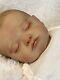 Reborn Baby Doll Rosalie. Sculpt By Olga Auer. New. Special Offer