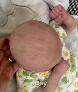 Reborn Baby Evan Partial Silicone Full Limbs 4lbs 17in OOAK Painted Hair