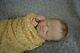 Reborn Baby Girl Doll Charlotte Laura Lee Eagles By Jessie's Babies