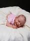 Reborn Baby Girl April By Joanna Kazmierczak Limited Edition Lifelike Doll