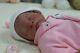 Reborn Baby Girl Doll Preemie Premature 13 Caleb Boneham By Artist Of 9yrs Ghsp
