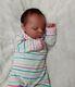 Reborn Baby Girl Luxe By Cassie Brace Sold Out Ltd Ed Ethnic Newborn Doll