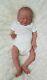 Reborn Baby Girl Uriel By Priscilla Lopes Ltd Edition Preemie Small Newborn Doll