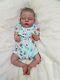 Reborn Baby Girl Zoey By Cassie Brace Limited Edition Realistic Lifelike Doll