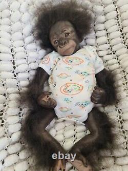 Reborn Baby Monkey Gorilla Long Sold Out Lovely Box Opening Weighted 5lb